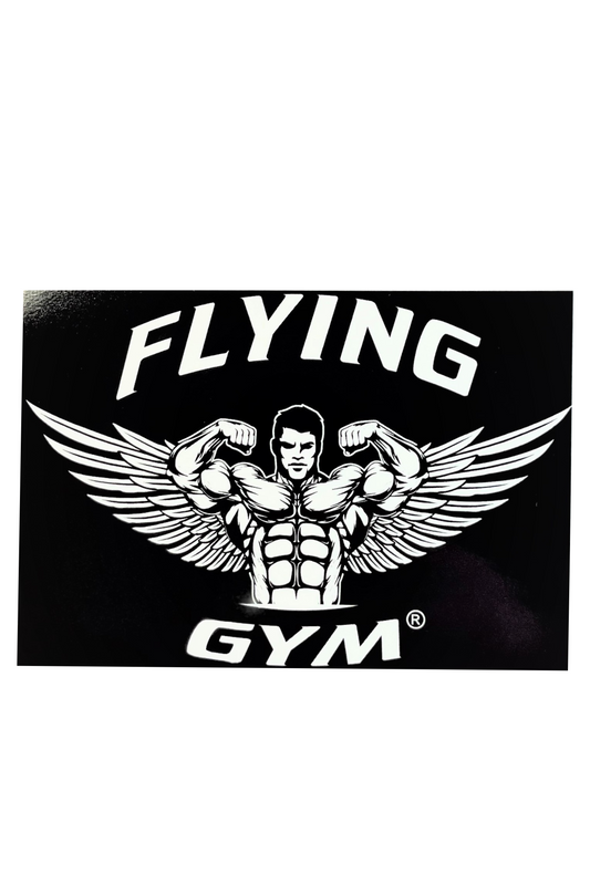 Flying Gym Sticker - 10Stk